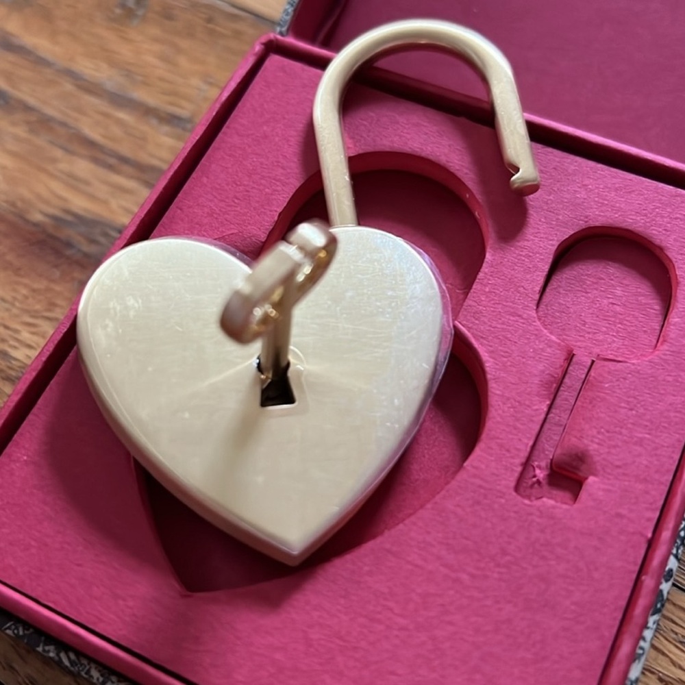 Dior Heart Padlock & Key W/Box 2023 Valentine Limited Novelty - Picture 6 of 7